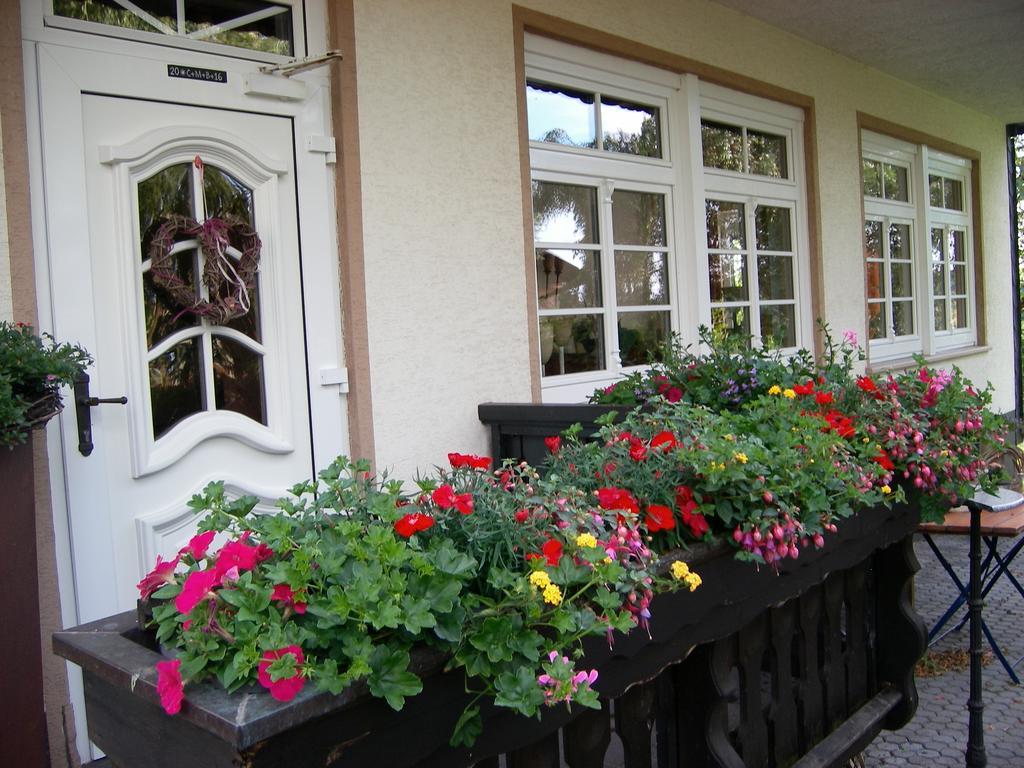 Landhaus Bad Bertrich Exterior foto