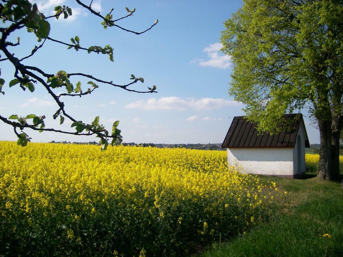 Landhaus Bad Bertrich Exterior foto